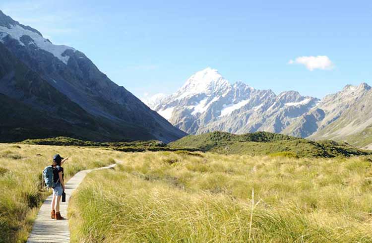 Travel Writers Wanted: New Zealand Insiders' Guide